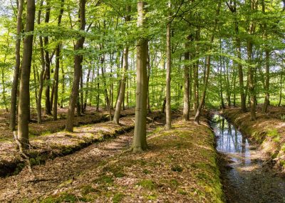 Natuurbegraafplaats Landgoed Christinalust in Enschede.