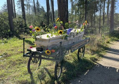 Natuurbegraafplaats Landgoed Christinalust in Enschede-Koets