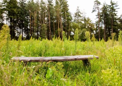 Natuurbegraafplaats Landgoed Christinalust in Enschede bankje